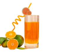 front-view-fresh-tangerines-with-juice-light-background-removebg-preview